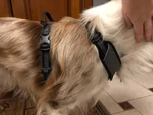 Pet-Harness Truelove Walk Padded Seat-Belt Handle Reflective-Dog Adjustable Small Soft