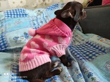 Dog-Sweater Puppy Jumperpet Dogs Medium Warm Cat for Small Jacket Hoodie Hearts