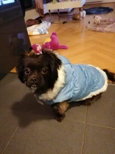 Dog Cat Winter Warm Coat Jacket Dress Pet Puppy Hoodie Winter Warm Clothes Apperal