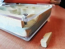 Mini nido de yeso para hormigas, nido plano, Red, hormiga, granja, Terrario de insectos