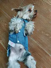Dog-Vest Jacket Apparel Jeans Puppy Small Dogs Yorkshire Terrier Denim For Chihuahua