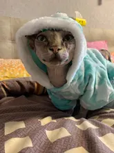 Autumn Winter Warm Pet Cat Costume for Cats Soft Fleece Dog Cat Clothes Kedi Katten Mastomas