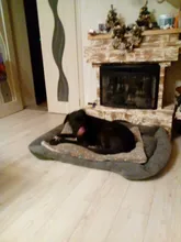 Dogs-Bed Sofa-House Big-Basket Small Large Waterproof Cat Bed Soft-Fleece for Medium