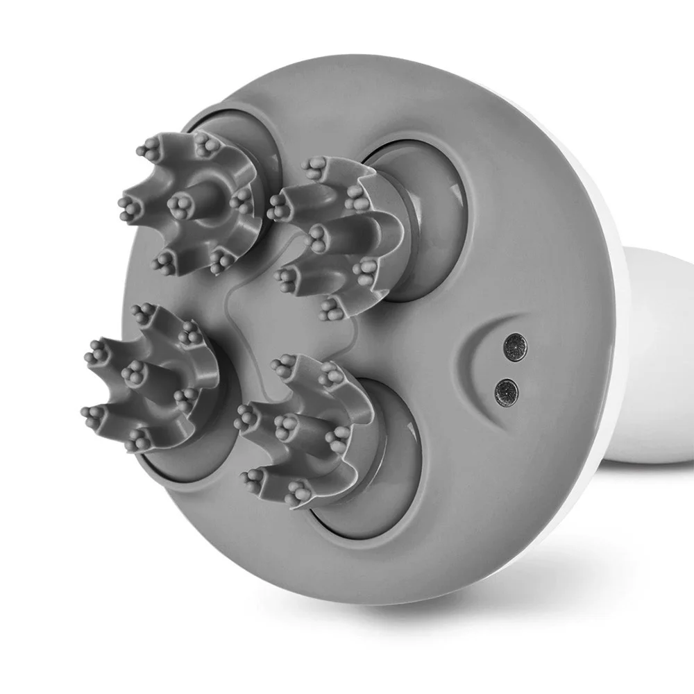 461942_931dfef7d4f54a348523a4c35e575b01