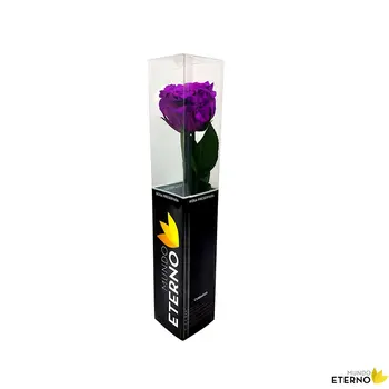 

Mundo eternal Rosa Eterna preserved 35cm lilac Dark