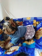 Dog-Dress Dogs-Skirt Yorkshire Summer Chihuahau Dot 