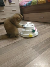 Ball Cat-Toys Play Cat Intelligence Tower-Tracks-Disc Training Amusement-Plate