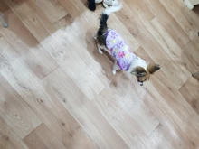 Clothing Puppy-Vest Dog-Coat Pet-Cat-Clothes French-Bulldog Small Dogs Chihuahua Winter