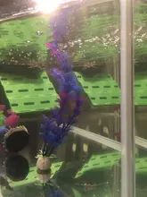 Tank-Decoration-Accessories Plastic Aquarium Water-Plants Artificial Green Fake Home