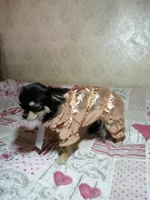 Ropa de abrigo para Perros Bulldog Francés, Ropa de cachorro, Chihuahua, yorkie, abrigo de perrito mascota, chaqueta, perros, mascotas