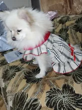 Dress Costume Dog-Puppy-Clothes PET PETCIRCLE Small Dog Classic Check Fit Pet-Cat All-Seasons