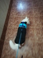 Chaleco impermeable para perros grandes y pequeños, abrigo cálido de invierno para cachorros, ropa para mascotas, 4XL, 5XL, nuevo