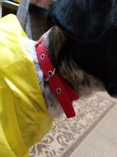 Necklace Collier Reflective-Collar Dogs Pitbull Chien Padded Nylon Adjustable Outdoor