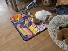 Alfombrilla de entrenamiento para perros y mascotas, manta de olfting, almohadillas de lana desmontables, esterilla para perros, alivia el estrés, juguete de rompecabezas