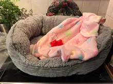 Dispensador portátil de bolsas de policarbonato para perros, caja tipo hueso para bolsas para excrementos de mascotas, productos para mascotas, 1 unidad