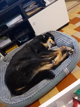 Bed Pet-Bed Labradors-House HOOPET Small Large Soft Warm Winter for Medium Big