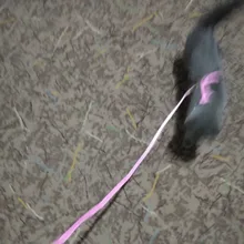 Pet Cat Collar Harness And Leash Adjustable Nylon Pet Traction Dog Kitten Halter Collar