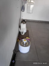 DRINK-FILTER Cat-Feeder Cat-Fountain Pet-Drinking-Water-Dispenser Cats Automatic LED