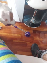 Juguetes para mascotas con copa de succión perro juguete con bola goma termoplástica para limpieza de perro juguetes para perros pequeños, perro de juguete