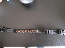 Dog-Collar Reflective Nylon Embroidered Airuidog Personalized Padded Adjustable