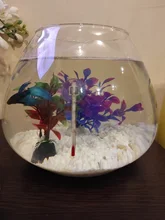 1 Uds medidor de vidrio acuario vidrio temperatura del agua termómetro con bonita ventosa 7cm