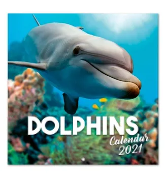 

2021 CALENDAR 30X30 DOLPHINS