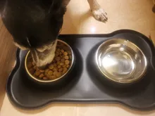 Benepaw-cuenco doble antideslizante para perro, con esterilla de silicona, duradero, de acero inoxidable, sin derrames, recipiente de alimentación para mascotas, Alimentador de agua para beber