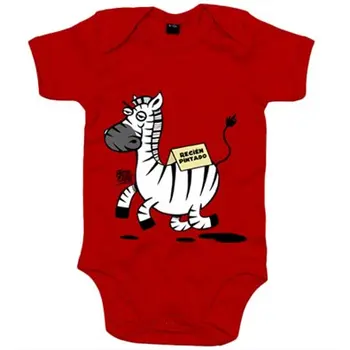 

Body baby zebra funny animals