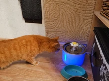 Drinking-Bowl Auto-Feeder CARBON-FILTER Water-Dispenser Water-Fountain Cat Automatic