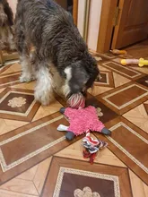 Dog-Toys Pets-Accessories Puppy Animals-Shape Plush Small Dogs Squeaker Ropes for 