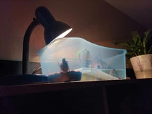 Caja de vivero de reptiles, hábitat de tortuga con rampa de pesca, herramientas de Acuario, caja de Vivarium de tortuga