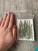 Изображение товара 5