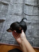 Manta eléctrica con calefacción para el cuerpo, Manta eléctrica de 220V, calefacción eléctrica, alfombras