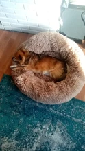 House Pet-Beds Cat-Basket Pet-Sleep-Bag Dogs Plush-Cats Washable Fluffy Small Large