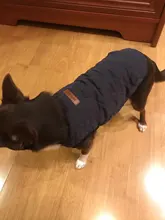 Dog Winter Bulldog-Coat Chihuahu Small French Outfit Puppy Medium Warm 