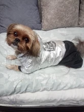 Jumpsuit Pet-Costumes Cotton-Padded Silver-Color Dogs Waterproof Winter Fashion for Hoodie