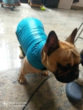 Dog-Down-Jacket French-Bulldog-Vest Pet-Chihuahua-Coat Dogs Reflective Reversible Winter