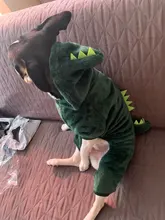 Perro de terciopelo Coral ropa de dibujos animados ropa para mascotas ropa venta al por mayor otoño y el invierno cálido cuatro patas-ropa para perros y gatos