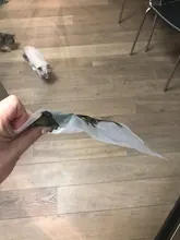 Vacuum-Sealer-Packing-Machine Vacuum-Bags Roll Food-Packaging Sous Kitchen LAIMENG Automatic