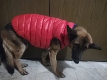 Vest Dog Jacket French Bulldog Waterproof Coat Pet-Outfit Dogs-Pet Winter Large Medium