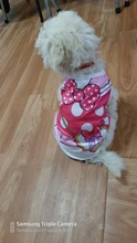 Ropa para perros y gatos traje camisa de chihuahua ropa perro ubranka dla psa honden kleding roupa para cachorro perros pequeños chaleco mascota ropa