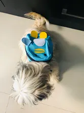 Carrier-Bags Backpack Cat Puppy Travel Pet-Dog Dourable Cartoon Cute Canvas School-Bag