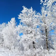 ENCHEN Boost-cortadora de pelo profesional para hombre, cortadora de pelo eléctrica portátil, recargable por USB, Máquina para cortar cabello para niños