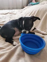 Dish Dog-Bowl Foldable Travel Silicone Puppy-Food-Container Water-Feeder Collapsible