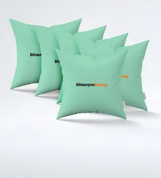 

Companies With Custom Logo Green Pillow (5 Pcs)