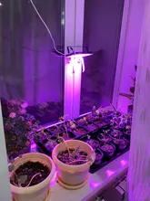Phyto-Lamp Floodlight Greenhouse-Plant-Hydroponic-Plant Outdoor Full-Spectrum 220V 50w Led