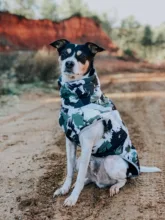 Dog Coat Dog-Jacket Labrador Reflective Large Breed Chihuahua Waterproof Winter Overalls