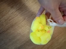 10 unids/lote lindo bebé niños juguete de goma patos de baño Baño habitación diversión con agua juego recién nacido niños niñas juguetes para los niños