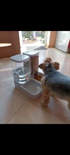 Cat-Feeding-Bowls Feeders Fountain-Bottle Dog-Water-Dispenser Dog Automatic Drinking