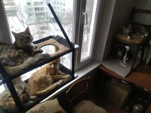 Bearing Hammock Cat Balcony Climbing Waterproof Sleeping-Mattress Cat-Bed-Cat Pet Fabric